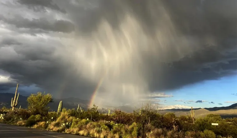 કેરળમાં ચોમાસાનું આગમન, દક્ષિણપશ્ચિમ ચોમાસાની ઋતુની શરૂઆતને ચિહ્નિત કરે છે