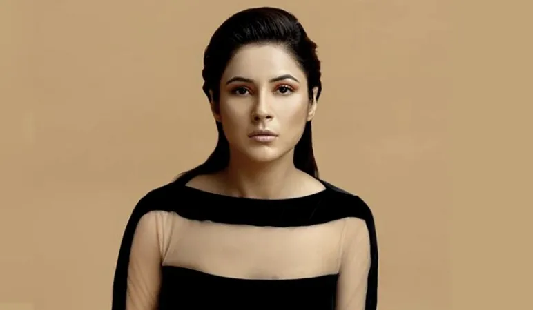 શહેનાઝ ગિલની બ્યુટી બેગમાંથી નીકળી 5 મેકઅપ ટિપ્સ