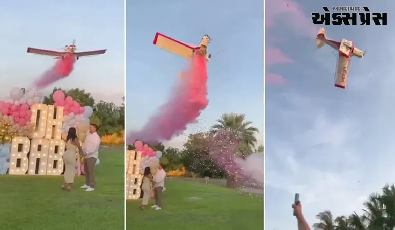 મેક્સિકોમાં જેન્ડર રીવીલ પાર્ટીમાં પ્લેન ક્રેશમાં પાયલટનું મોત