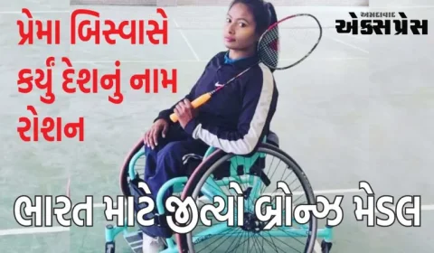 આર્થિક સમસ્યાઓ હોવા છતાં, દેશ માટે મેડલ જીત્યા, આ ખેલાડીએ પેરા બેડમિન્ટનમાં અજાયબીઓ કરી