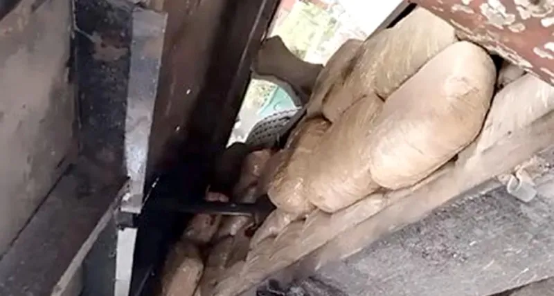 DRIએ 211 કિલો ગાંજા વહન કરતા ટ્રેક્ટરને અટકાવ્યું, નાઈજીરીયન ડ્રગ લોર્ડરને પકડી પાડ્યો