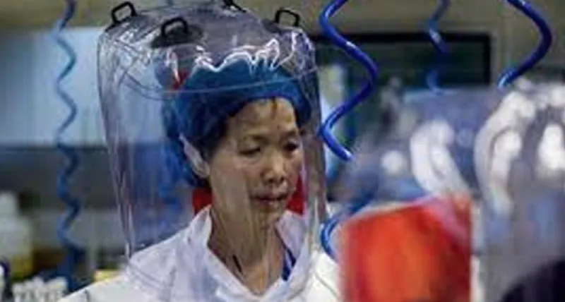 ચીનની 'બેટવુમન' માને છે કે બીજી સાર્સ જેવી રોગચાળો 'ખૂબ જ સંભવ છે'