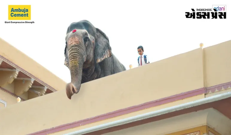 અંબુજા સિમેન્ટે નવી એડ ફિલ્મ - 'મઝબૂતી કી મિસાલ'માં વધુ એક 'હાર્ટ વોર્મિંગ ટેલ ઑફ અ જાયન્ટ' રજૂ કરી