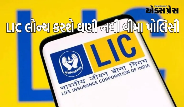 LIC લોન્ચ કરશે ઘણી નવી વીમા પોલિસી, ડિસેમ્બરમાં શરૂ થશે નવી સેવા, જાણો વિગત