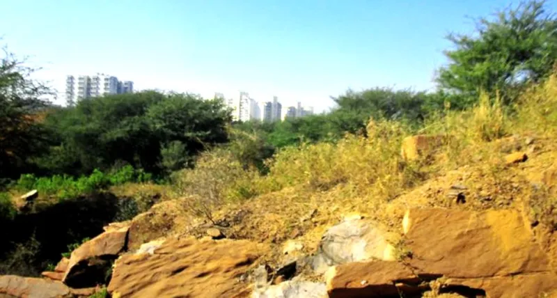 નાંગલ ક્રશર ઝોન: અરવલી ટેકરી તૂટી પડતા એકનું મોત, ત્રણ ઘાયલ