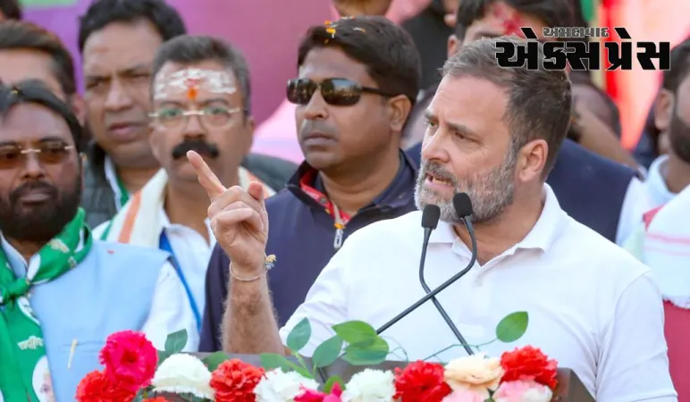 ભાજપે ઝારખંડમાં સરકારને ચોરી કરવાનો પ્રયાસ કર્યોઃ રાહુલ ગાંધી