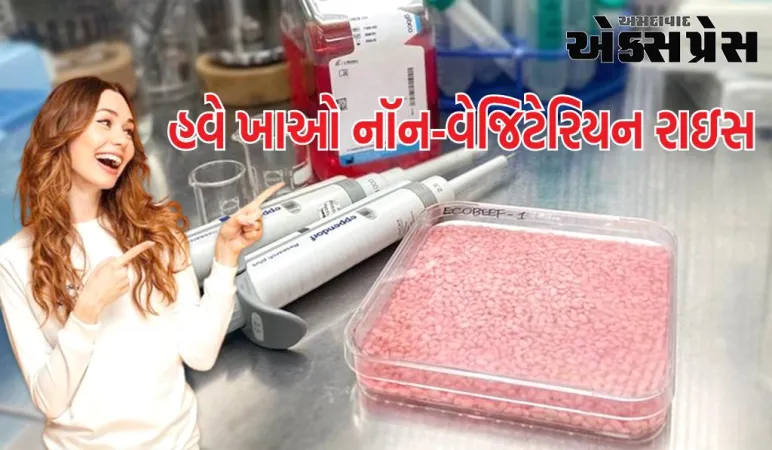 Meaty Rice : હવે ખાઓ નૉન-વેજિટેરિયન રાઇસ, માંસને અલગથી બનાવવાની જરૂર નથી, સ્વાદ પણ છે અદ્ભુત