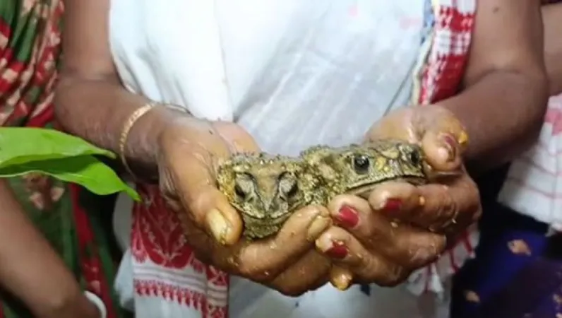 દેડકાના લગ્ન : આસામમાં દુષ્કાળની ચાલી રહેલી સમસ્યા વચ્ચે સ્થાનિકોએ  વરસાદના દેવો માટે વર્ષો જૂની રીતોનો આશરો લીધો