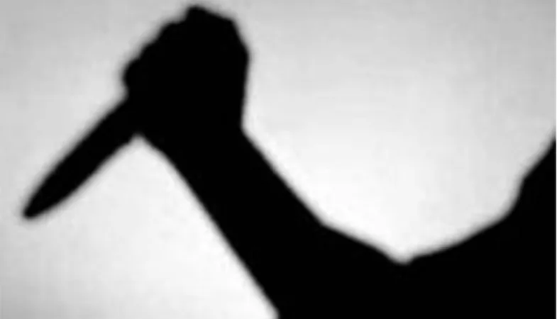 જીવલેણ હુમલો  : દિલ્હીના રણહોલા વિસ્તારમાં બેવડી છરાબાજી