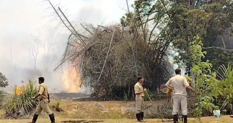 કેરળના વાયનાડ જિલ્લાના  જંગલમાં લાગી આગ 