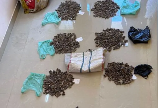 ડીઆરઆઈએ નાશિક નજીક બંગાળ મોનિટર લિઝાર્ડના ભાગો અને સોફ્ટ કોરલ જપ્ત કર્યા