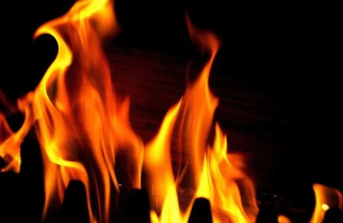 તિરુપતિ જિલ્લામાં આગ ફાટી નીકળી; વન્યજીવન ચેતવણી