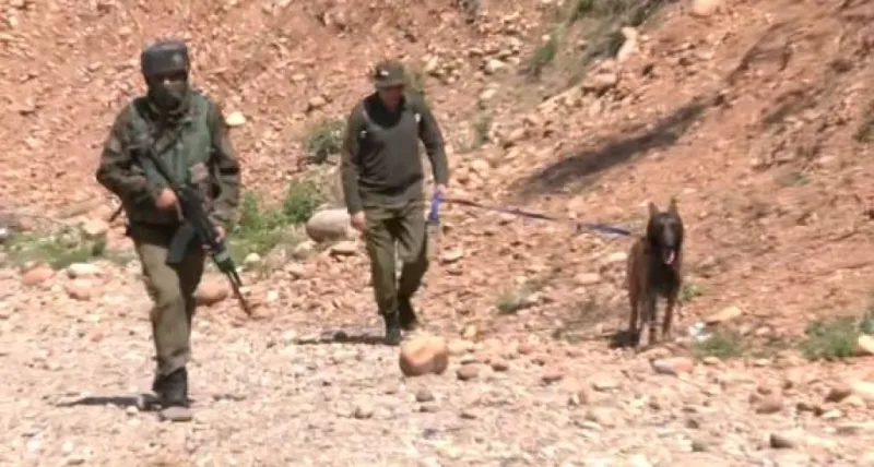 લોકસભા ચૂંટણી : જમ્મુ પોલીસ મતદાન પહેલા ડ્રોન અને સ્નિફર ડોગ સાથે હાઈ એલર્ટ પર