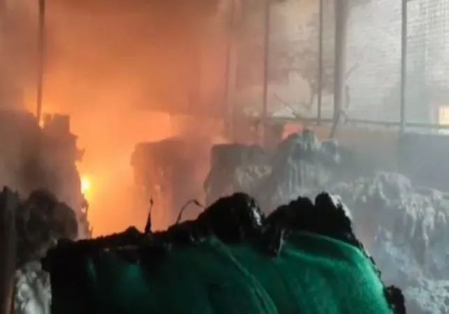 આંધ્રપ્રદેશ: નેલ્લોર જિલ્લામાં માછીમારી સામગ્રીની દુકાનમાં આગ, કોઈ જાનહાનિ નથી"