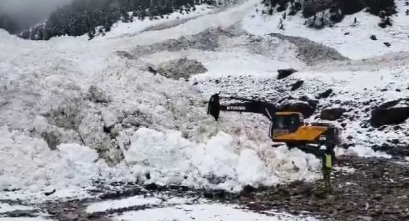 જમ્મુ  કાશ્મીર: સોનમર્ગના સરબલ વિસ્તારમાં હિમપ્રપાત, કોઈ જાનહાનિ નથી