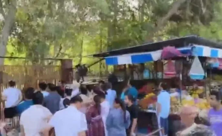 દિલ્હી-એનસીઆરની શાળાઓને બોમ્બની ધમકી મળી, શાળાઓમાં સર્ચ ઓપરેશન શરૂ 