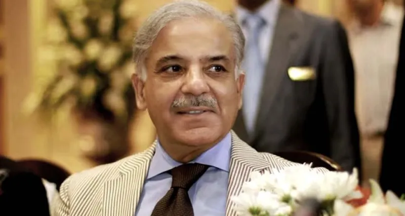 પીએમ શરીફની બેઇજિંગ મુલાકાત પહેલા પાકિસ્તાન ચીની પાવર પ્રોડ્યુસર્સનું PKR 550 બિલિયન લેણું ક્લિયર કરશે