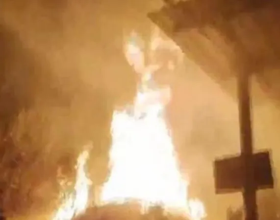 Navsari News: ગુજરાતના નવસારીમાં વાંસની નર્સરીમાં લાગી આગ 