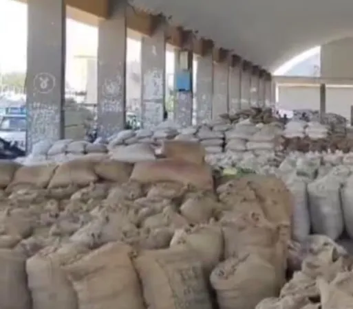  Bhavnagar News: ભાવનગર માર્કેટ યાર્ડ ખાતે જણસીની આવક બારીકાઈથી નોંધાઈ 