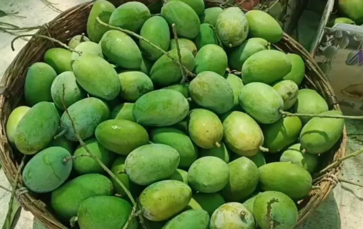 ઉનાળો શરૂ થતાં જ અમરેલી જિલ્લામાં માર્કેટિંગ યાર્ડમાં  કેસર કેરીના ભાવમાં ઉછાળો