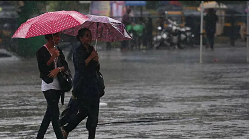  Unseasonal Rains  : ગુજરાતના વિવિધ વિસ્તારોમાં કમોસમી વરસાદે વ્યાપક અરાજકતા સર્જી 