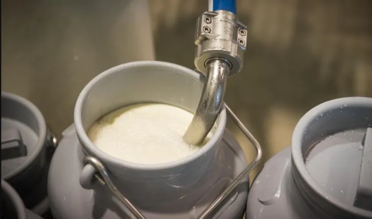 ગુજરાતમાં દૂધમાં ભેળસેળના કૌભાંડનો પર્દાફાશ: હજારો કિલોગ્રામ દૂધ  જપ્ત