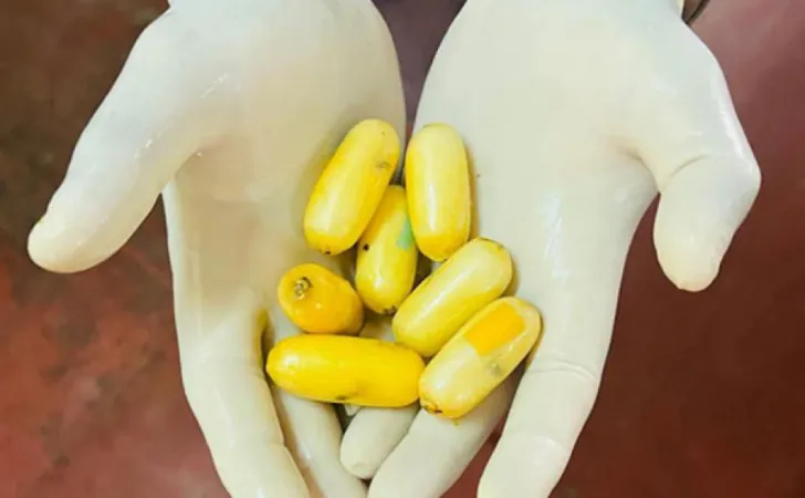 Bengaluru Rave Party: અભિનેત્રી હેમા સહિત આઠને નોટિસ પાઠવવામાં આવી 