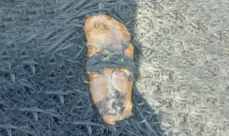 BSFએ પંજાબના અમૃતસર અને તરનતારનમાં હેરોઈનના પેકેટો ઝડપ્યા