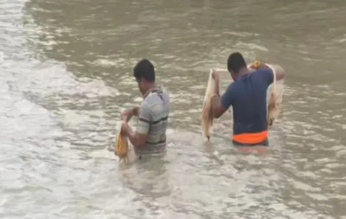 West Bengal : માછીમારોએ  IMD ચેતવણી નકારી, ઉત્તર બંગાળની ખાડીમાં  માછીમારો માછીમારી કરતા જોવા મળ્યા