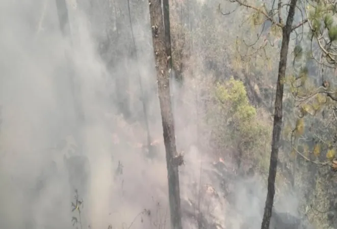 હિમાચલ પ્રદેશમાં 1,500 જંગલોમાં આગની ઘટનાઓ નોંધાઈ, 13,000 હેક્ટર જમીનને નુકસાન