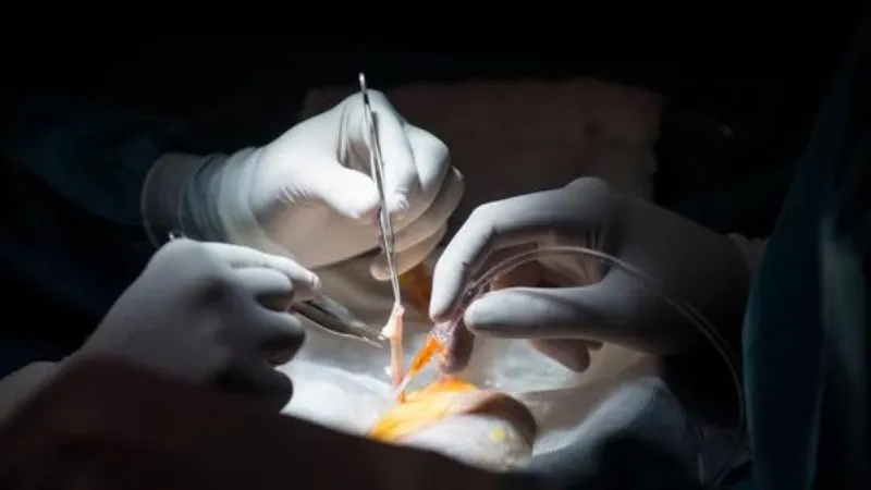 તબીબી બેદરકારી : ખોટી કિડની કાઢવા બદલ રાજસ્થાનના ડોક્ટરની ધરપકડ