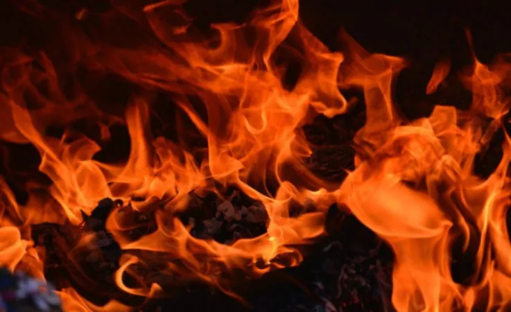 Delhi News: નરેલા ફૂડ પ્રોસેસિંગ ફેક્ટરીમાં ભીષણ આગ, 3ના મોત, 6 ઘાયલ