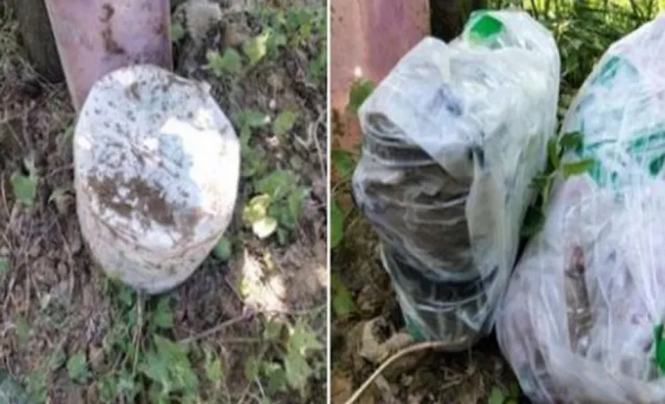 પુલવામામાં માર્યા ગયેલા LeT કમાન્ડરોના OGW નેટવર્કમાંથી IEDs મળી આવ્યા