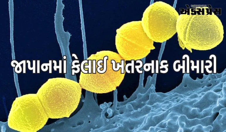 જાપાનમાં ફેલાઈ છે ખતરનાક બીમારી, કેવી રીતે બેક્ટેરિયાથી 48 કલાકમાં થઈ જાય છે મૃત્યુ, જાણો નિષ્ણાતો પાસેથી