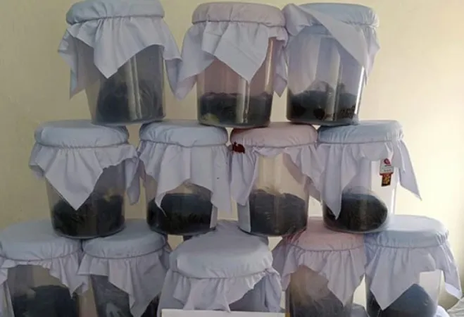 પંજાબમાં અફીણ જપ્ત: આંતરરાજ્ય દાણચોરીના પર્દાફાશમાં 66 કિલો અફીણ જપ્ત, બેની ધરપકડ