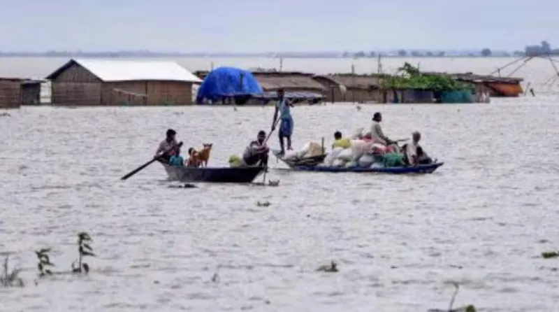 આસામના પૂરથી કાઝીરંગા રાષ્ટ્રીય ઉદ્યાનમાં 95 શિબિરો ડૂબી ગયા