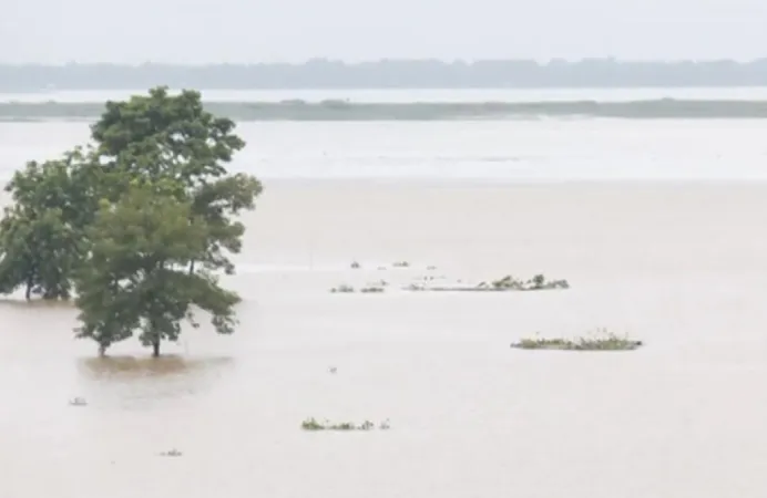 આસામના નાગાંવમાં પૂરના કારણે હજારો લોકોને સ્થળાંતર કરવાની ફરજ પડી