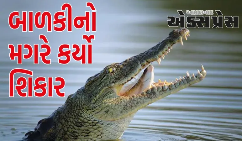 નદીમાં તરવા ગયેલી સગીર બાળકીનો મગરે કર્યો શિકાર, જાણો 2 દિવસ પછી શું થયું
