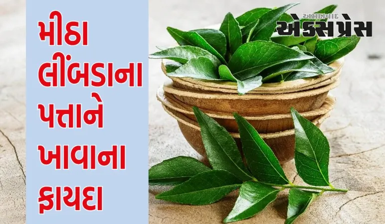 આ એક પાન સ્વાસ્થ્ય માટે ઔષધિ સાબિત થશે, એક-બે નહીં, તમને મળશે અનેક ફાયદા