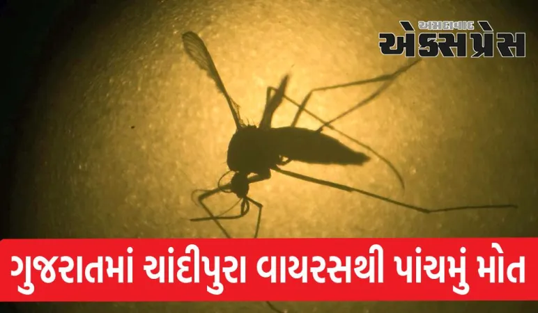ગુજરાતમાં ચાંદીપુરા વાયરસથી પાંચમું મોત, વહીવટીતંત્રની ઉંઘ ઉડી, મગજમાં સોજો આવવાથી બાળકોના મોત