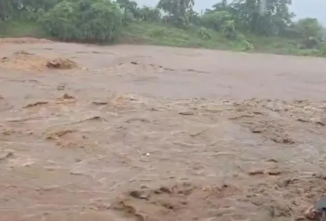 Gujarat Heavy Rain: ભારે વરસાદથી દક્ષિણ ગુજરાતના ઘોડાપુરમાં નેત્રંગ નદીમાં તબાહી