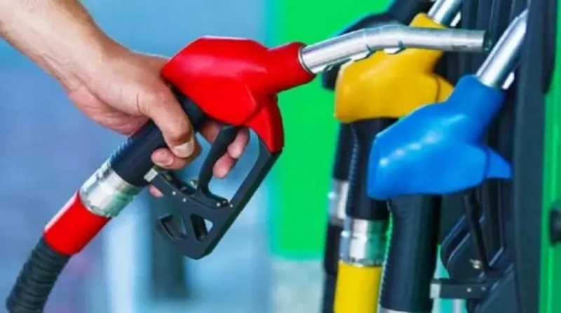 Petrol Diesel Price: બજેટ પહેલા આ શહેરોમાંપેટ્રોલ ડીઝલના ભાવ બદલાયા