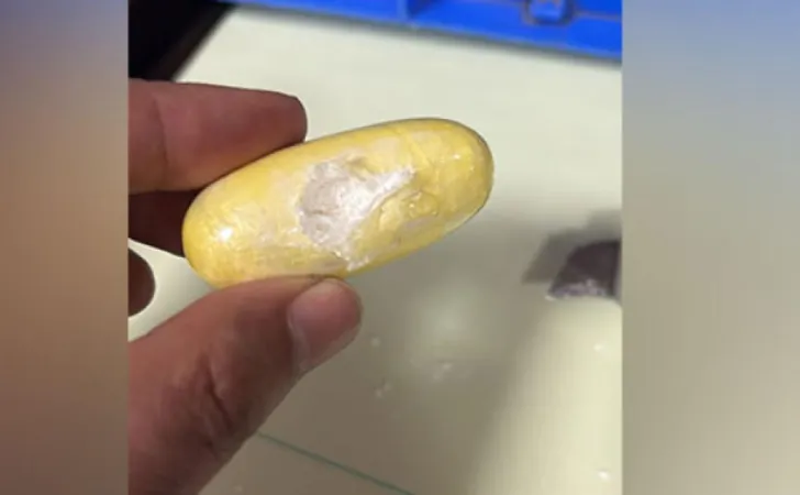 CBIએ દિલ્હી એરપોર્ટ પર 6 કિલો કોકેઈન સાથે જર્મન નાગરિકની અટકાયત કરી(