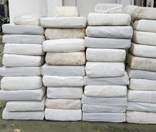 NCB ગુવાહાટીએ 934 કિલો ગાંજાનો જથ્થો જપ્ત કર્યો, મોટા ઓપરેશનમાં સુરજીત સિંહની ધરપકડ