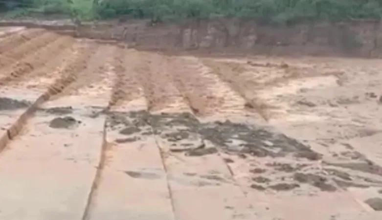 હરિયાણા : સતત વરસાદને કારણે પંચકુલામાં ઘગ્ગર નદીના જળસ્તરમાં વધારો