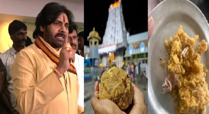 તિરુપતિ લાડુ "દૂષણ" માટે ભૂતપૂર્વ સીએમ જગન રેડ્ડી જવાબદાર, પવન કલ્યાણનો આરોપ