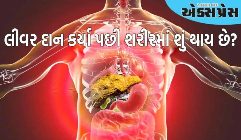 લીવર દાન કર્યા પછી શરીરમાં શું થાય છે? જાણો ડૉક્ટર શું કહે છે?