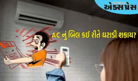 ૧૬ ને બદલે ૨૪ ડિગ્રી પર ચલાવો તમારું AC, તમારું વીજળી બિલ અડધું થઈ જશે!