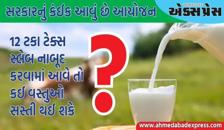 દૂધ, દહીં, પનીરથી લઈને આ વસ્તુઓ સસ્તી થઈ શકે છે, સરકારનું કંઈક આવું છે આયોજન