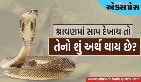 શ્રાવણમાં સાપ દેખાય તો તેનો શું અર્થ થાય છે? જો તમને સપનામાં પણ તે દેખાય છે, તો તમને આ શુભ સંકેતો મળે છે